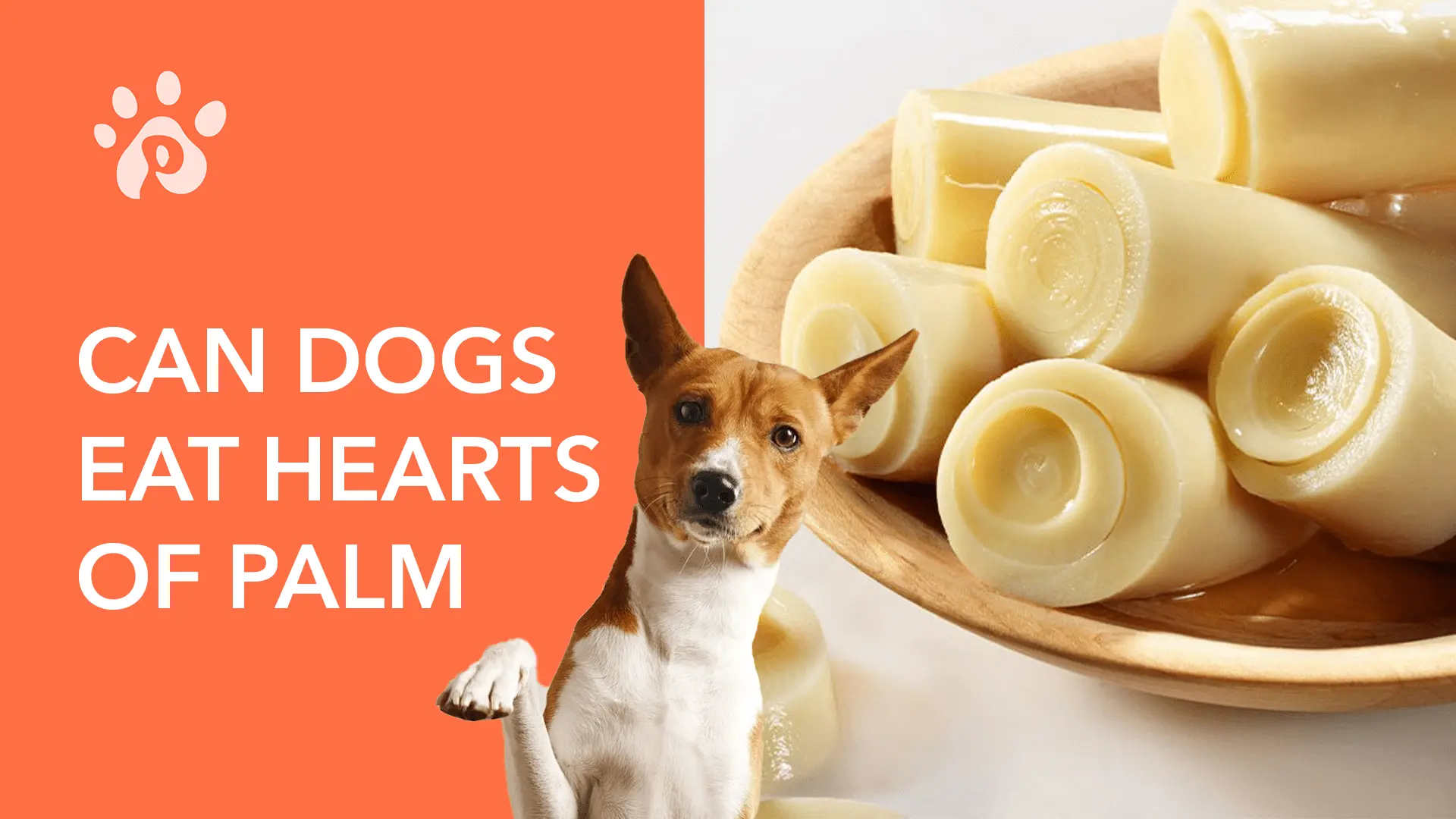 Can Dogs Eat Hearts of Palm?