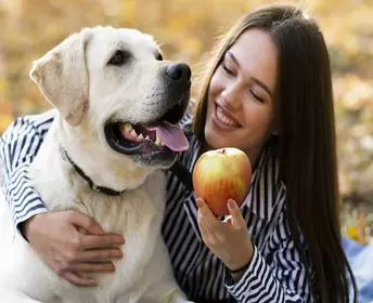 Can Dogs Drink Apple Juice? – A Comprehensive Guide for Dog Owners